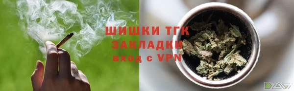 ECSTASY Богданович
