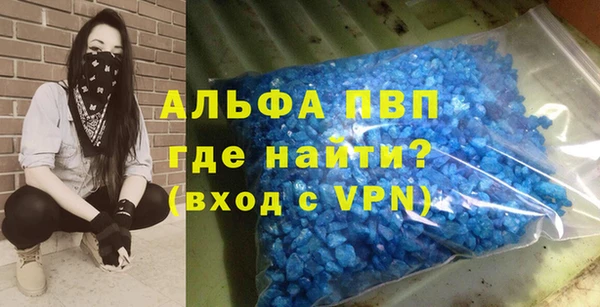 ECSTASY Богданович