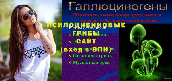 apvp Богородск