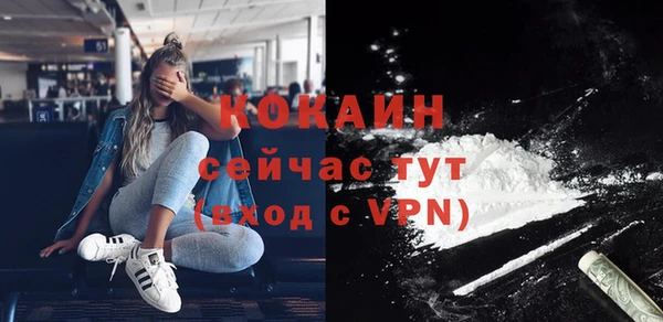 ECSTASY Богданович