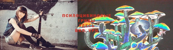 ECSTASY Богданович