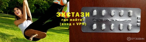 ECSTASY Богданович